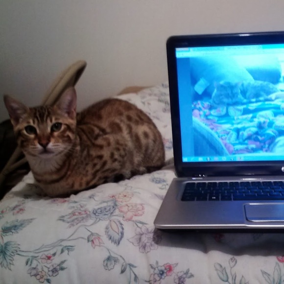 Meet your Posher, Maureen - Picture 1 of 1